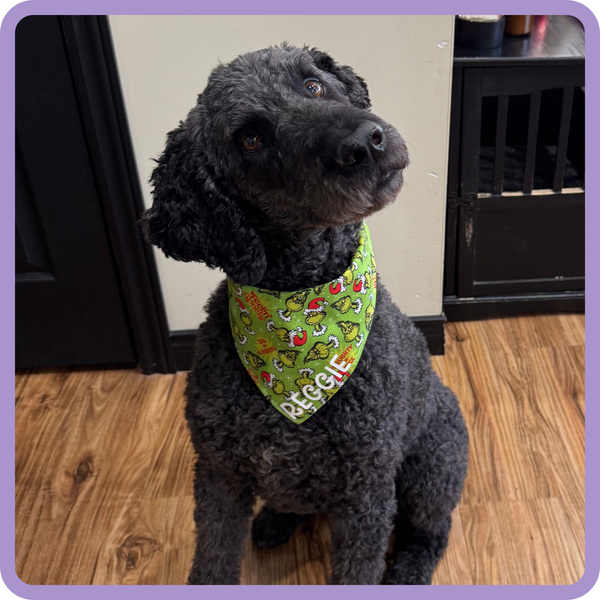 Customer photo for Green Grinch Bandana