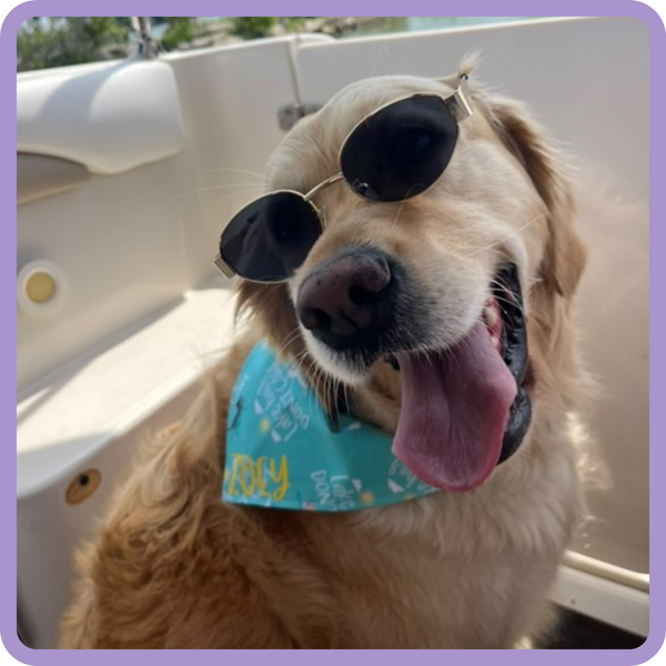 Customer photo for Lake Hair Don't Care Bandana
