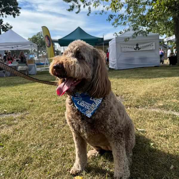 Customer photo for Detroit Lions Bandana