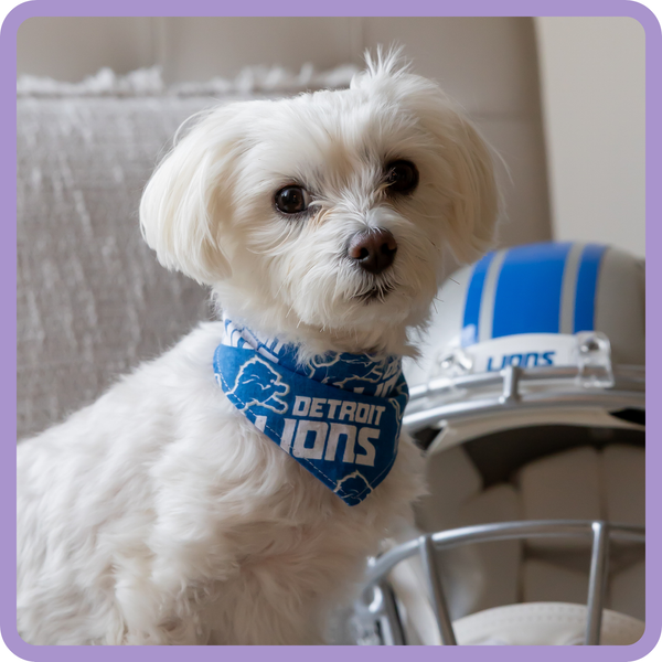 Customer photo for Detroit Lions Bandana