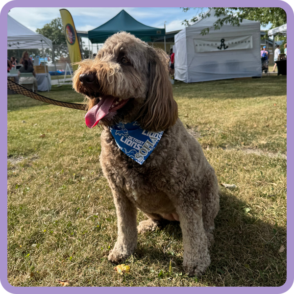 Customer photo for Detroit Lions Bandana