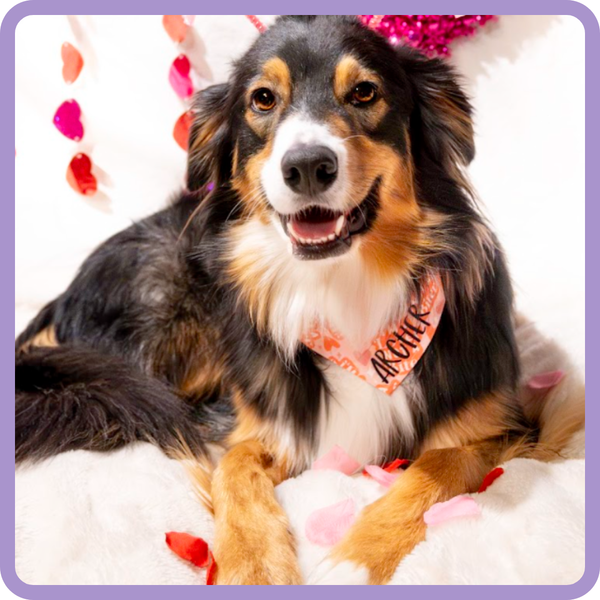 Customer photo for I'm A Lover Not A Biter Bandana