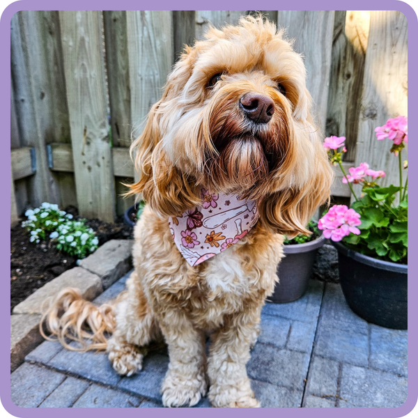 Customer photo for Mushroom Bandana