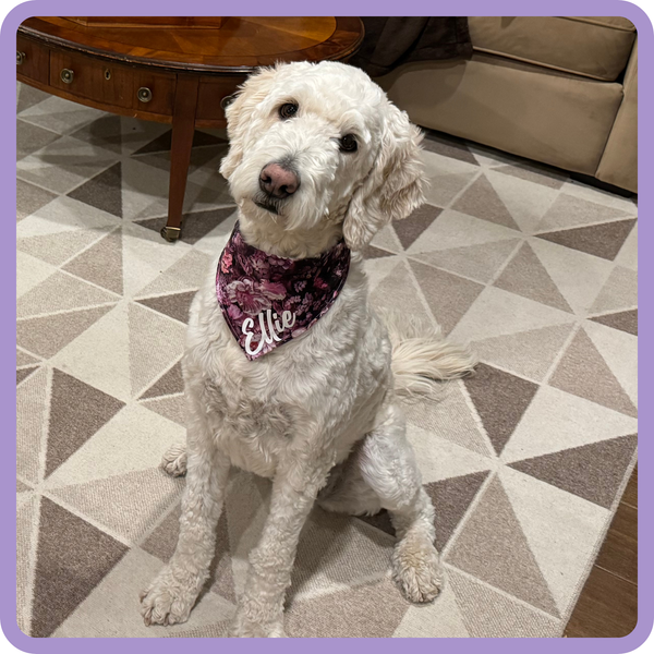 Customer photo for Pink and Purple Floral Bandana