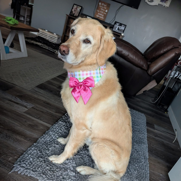 Customer photo for JB X B&B Collab Glitter Tulip Bandana