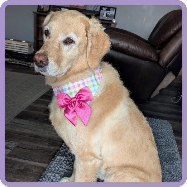Customer photo for JB X B&B Collab Glitter Tulip Bandana