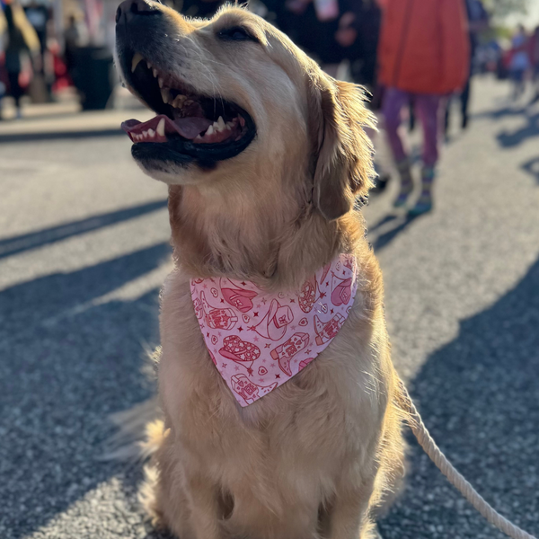 Customer photo for Pink Cowgirl Bandana