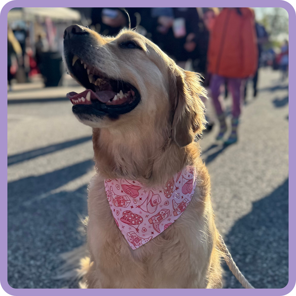 Customer photo for Pink Cowgirl Bandana