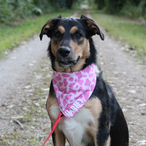 Customer photo for Pink Cow Print Bandana