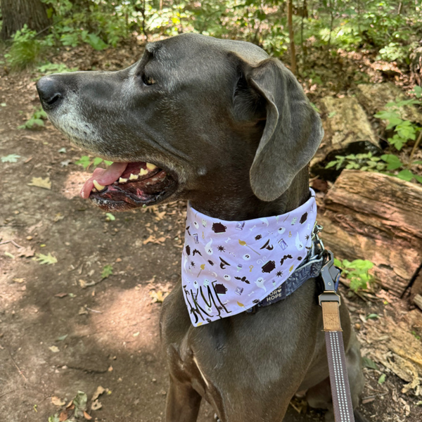 Customer photo for Purple Halloween Bandana