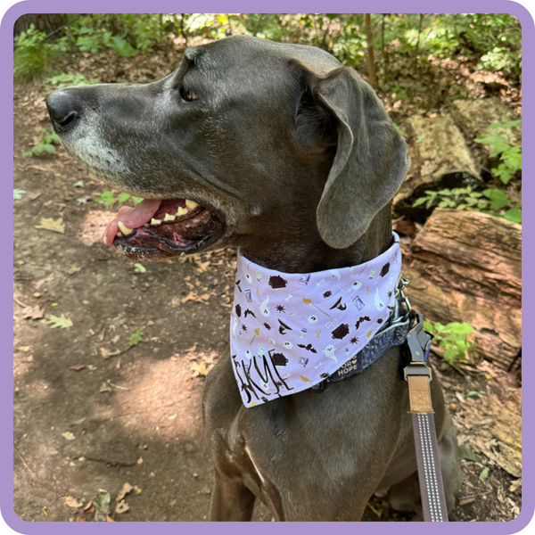 Customer photo for Purple Halloween Bandana