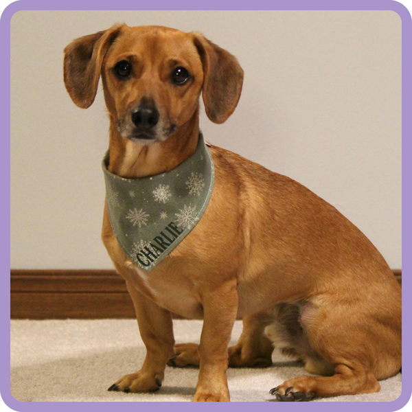 Customer photo for Metallic Snowflake Bandana