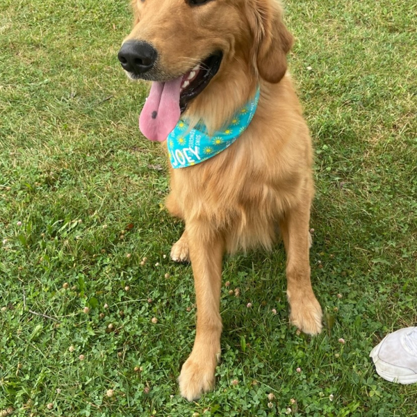 Customer photo for Suns Out Tongues Out Bandana