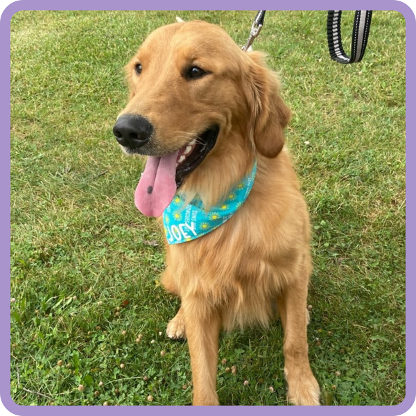 Customer photo for Suns Out Tongues Out Bandana