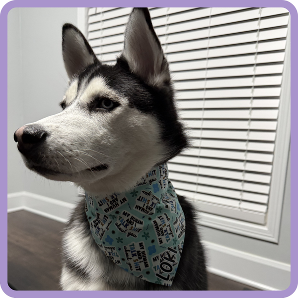 Customer photo for My Human And I Talk Shit Bandana