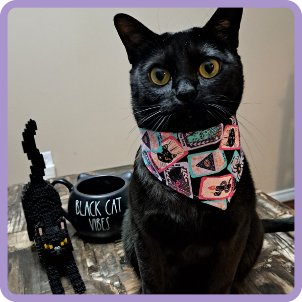 Customer photo for Tarot Card Bandana