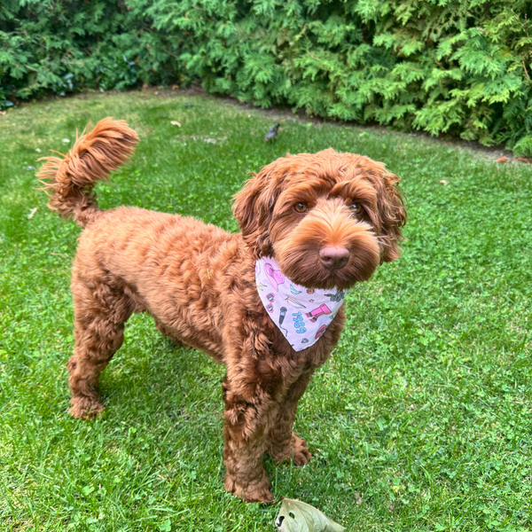 Customer photo for Taylor Swift Bandana