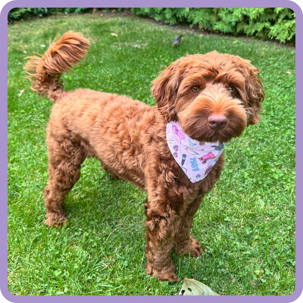 Customer photo for Taylor Swift Bandana