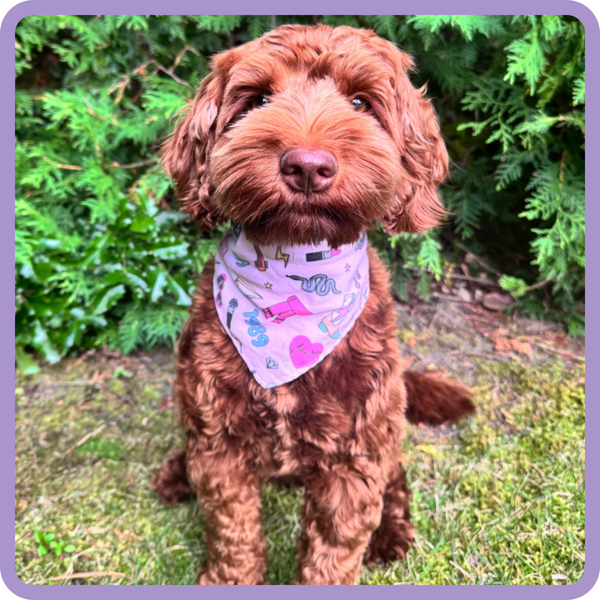 Customer photo for Taylor Swift Bandana