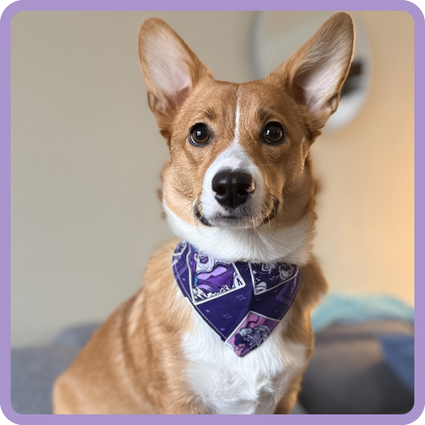Customer photo for Purple Disney Villains Bandana