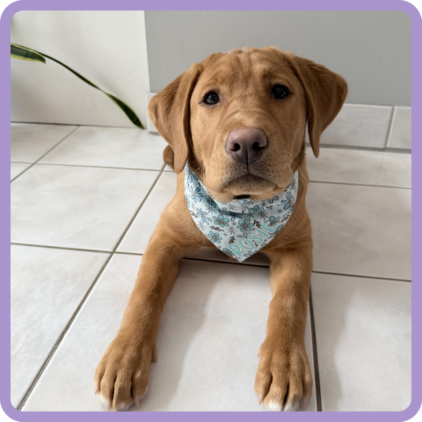 Customer photo for Winter Floral Bandana